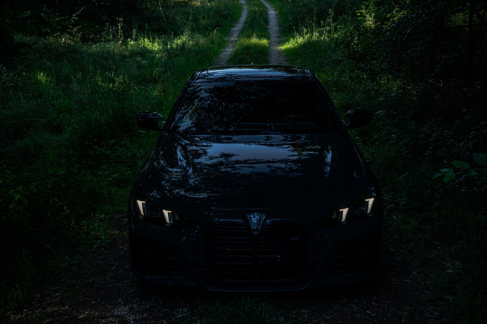 Dark Grille